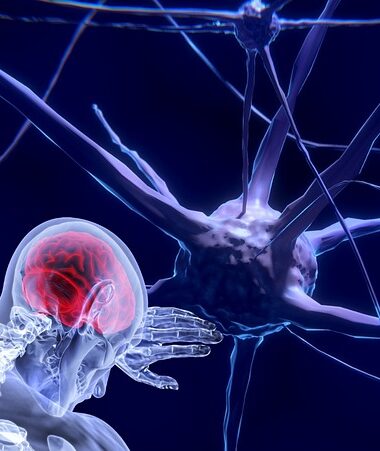 neurons and research