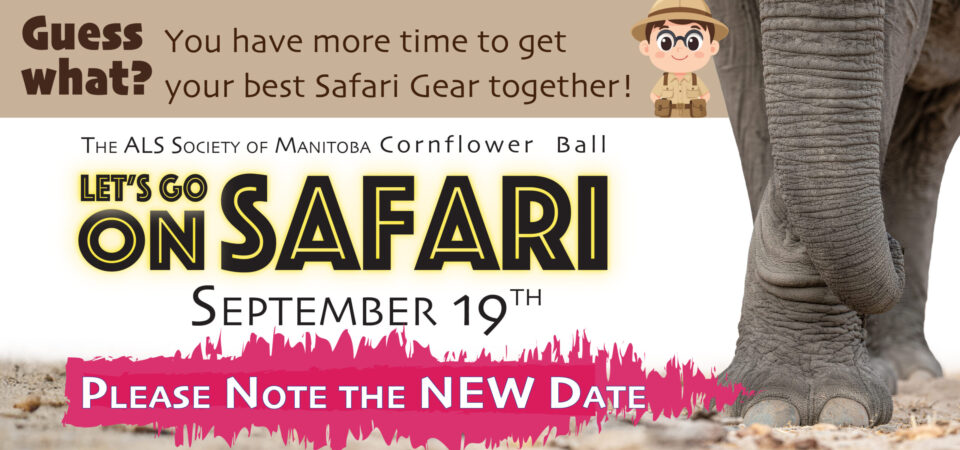 Cornflower Ball 2026